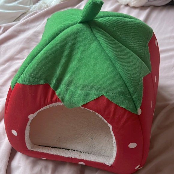 pet little house - Picture 1 of 6